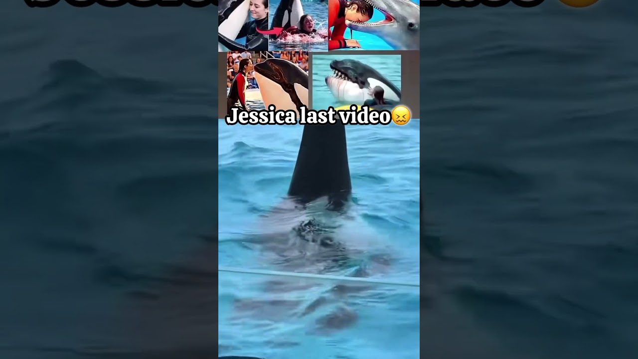 Jessica last video😭💔|plz subscribe ☹️| #shorts #jessica #trendingshorts #videoshort #aesthetic