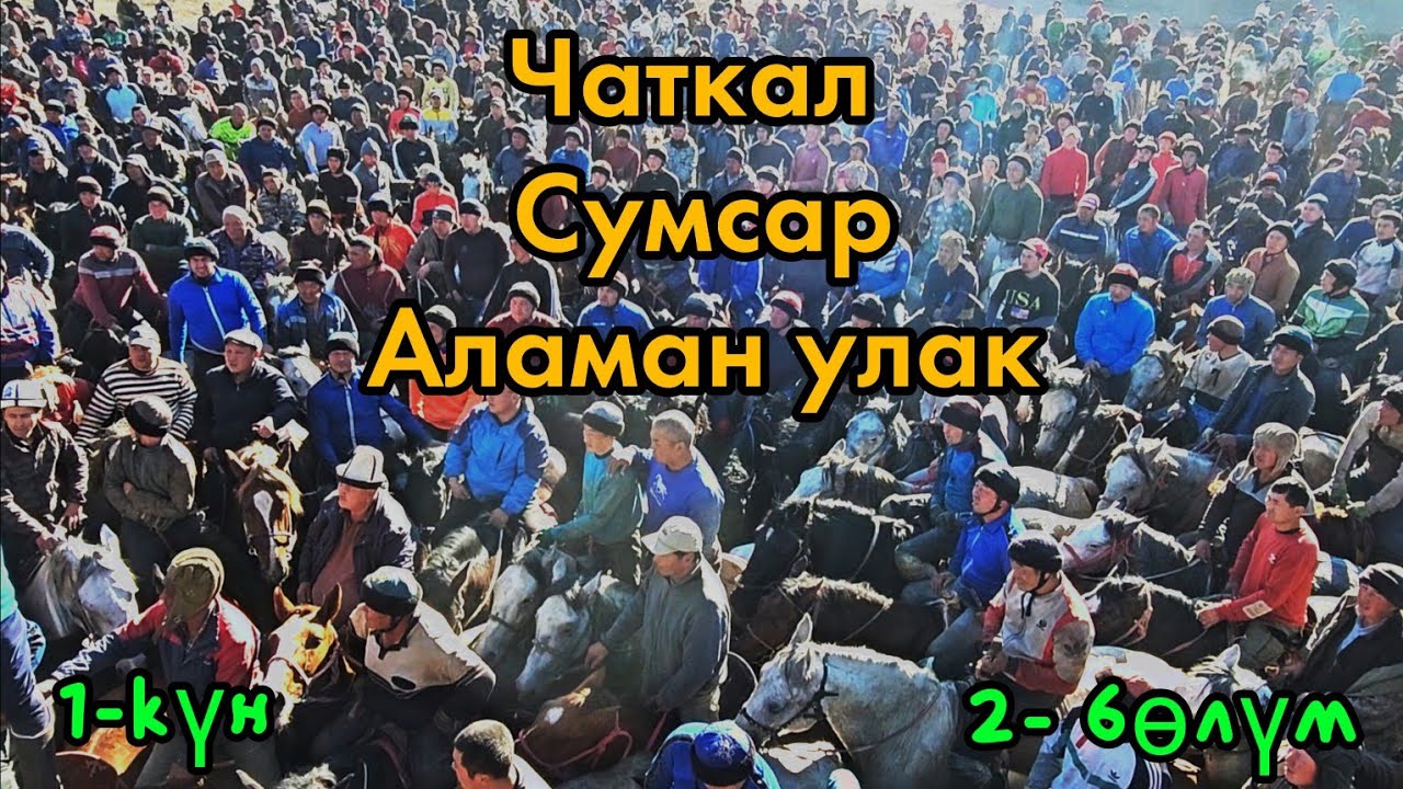 Чаткал/// Сумсардагы аламан улак / 2- бөлүм.