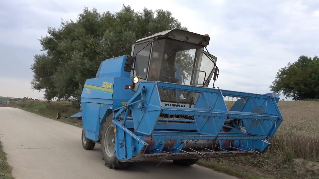 Bizon Nordic Z140 || Żniwa 2023 ||
