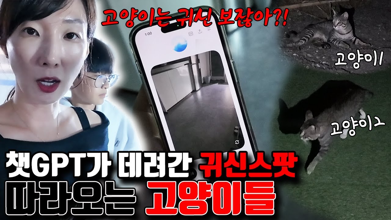 밤12시 챗 GPT가  안내해준 귀신 스팟! 그리고 계속 따라오는 고양이 두마리?! 고양이가 귀신을 본걸까요?ㅣ토깽이네