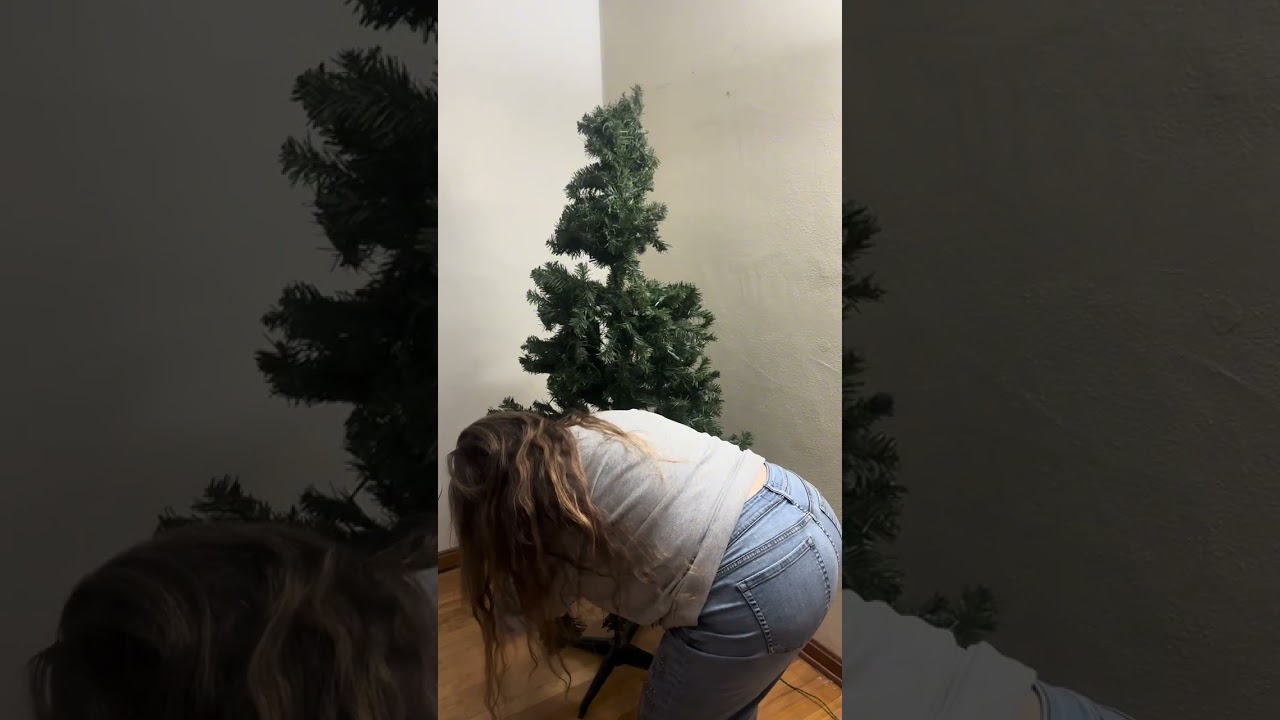 Let's go look for a Christmas tree 