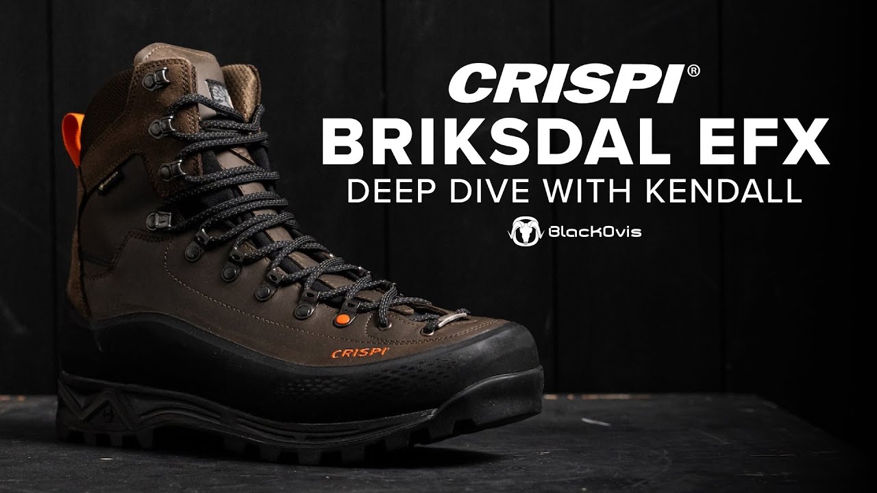 BlackOvis Deep Dive: CRISPI BRIKSDAL EFX