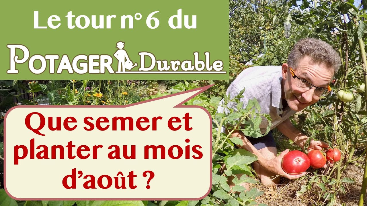 Que semer et planter au mois d'août au potager ?