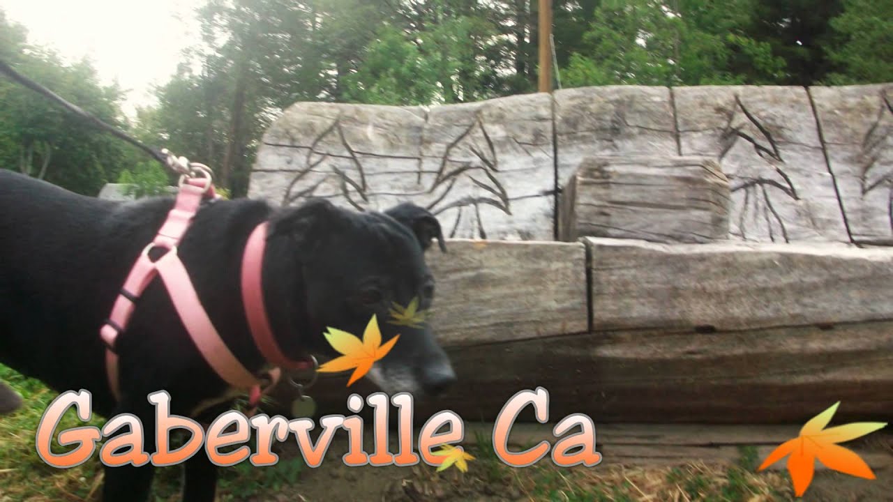Copy of Gaberville California RV Resort