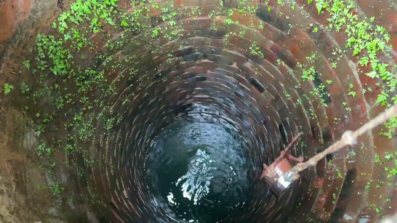SÓ VENDO PARA ACREDITAR NISTO DENDRO DO POÇO