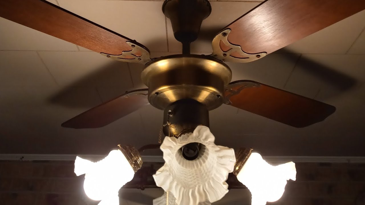 No One Knows This Is a Good Fan