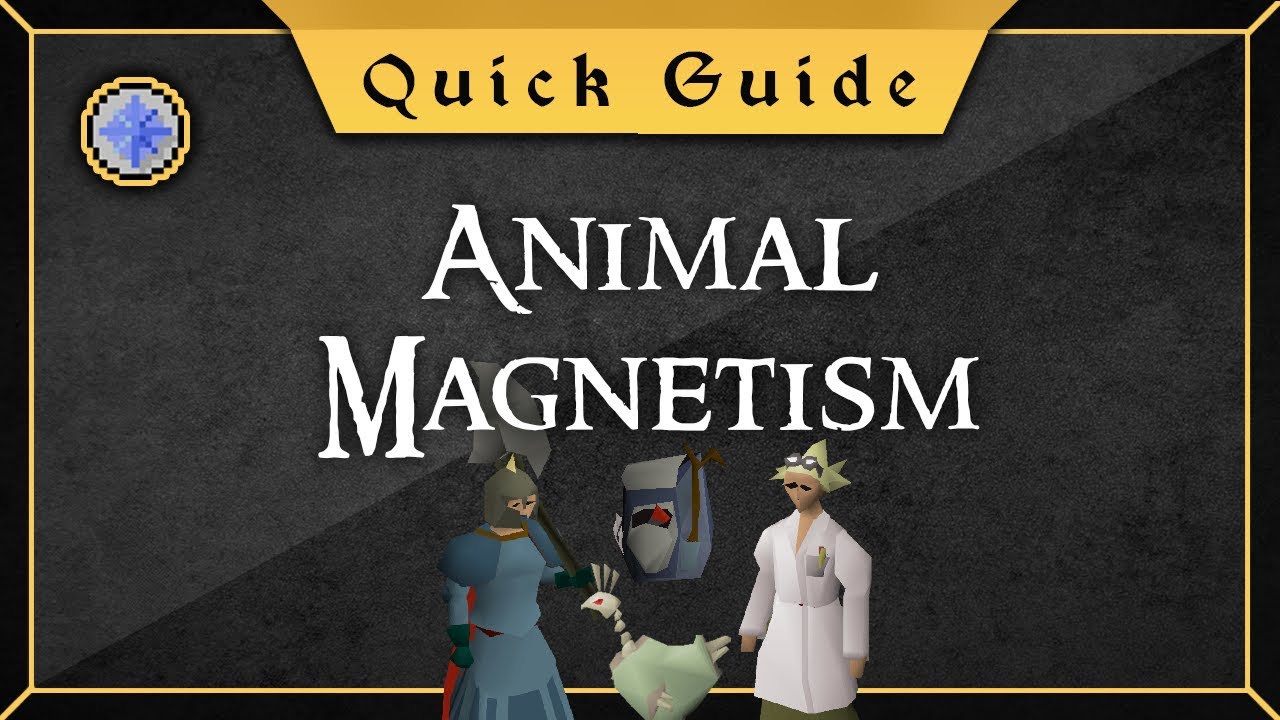 [Quick Guide] Animal Magnetism