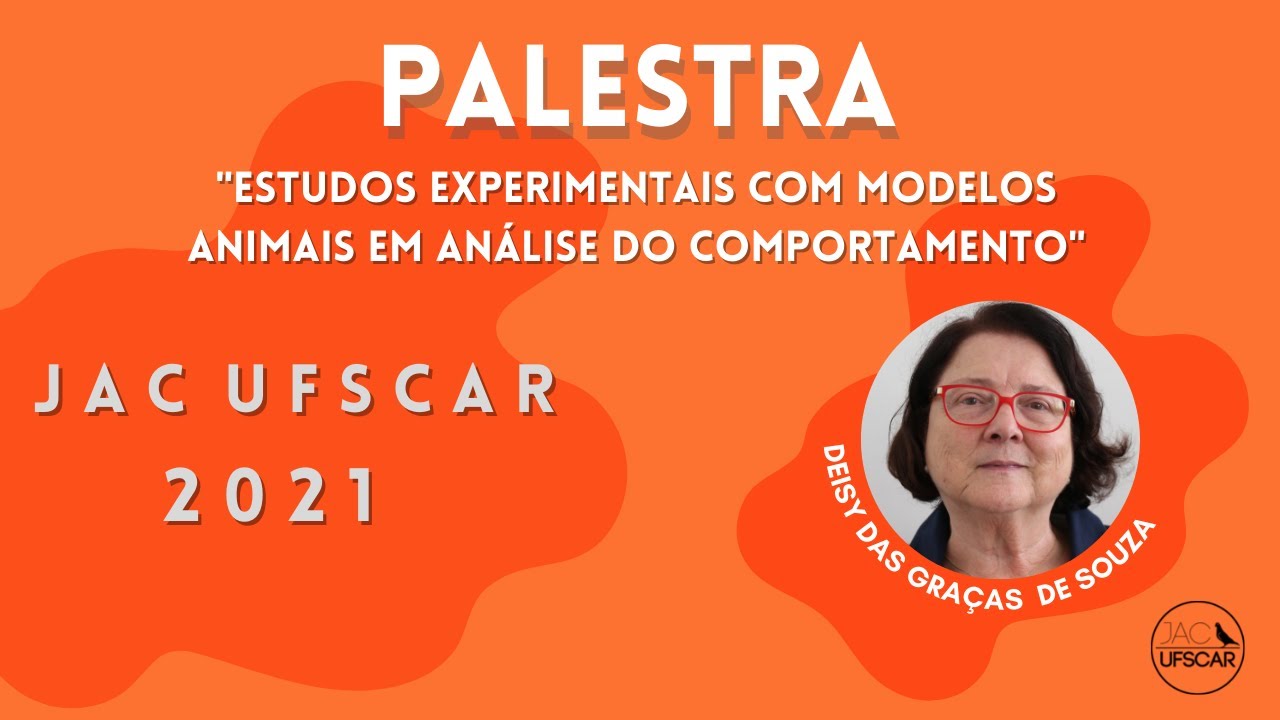 2. Palestra: 