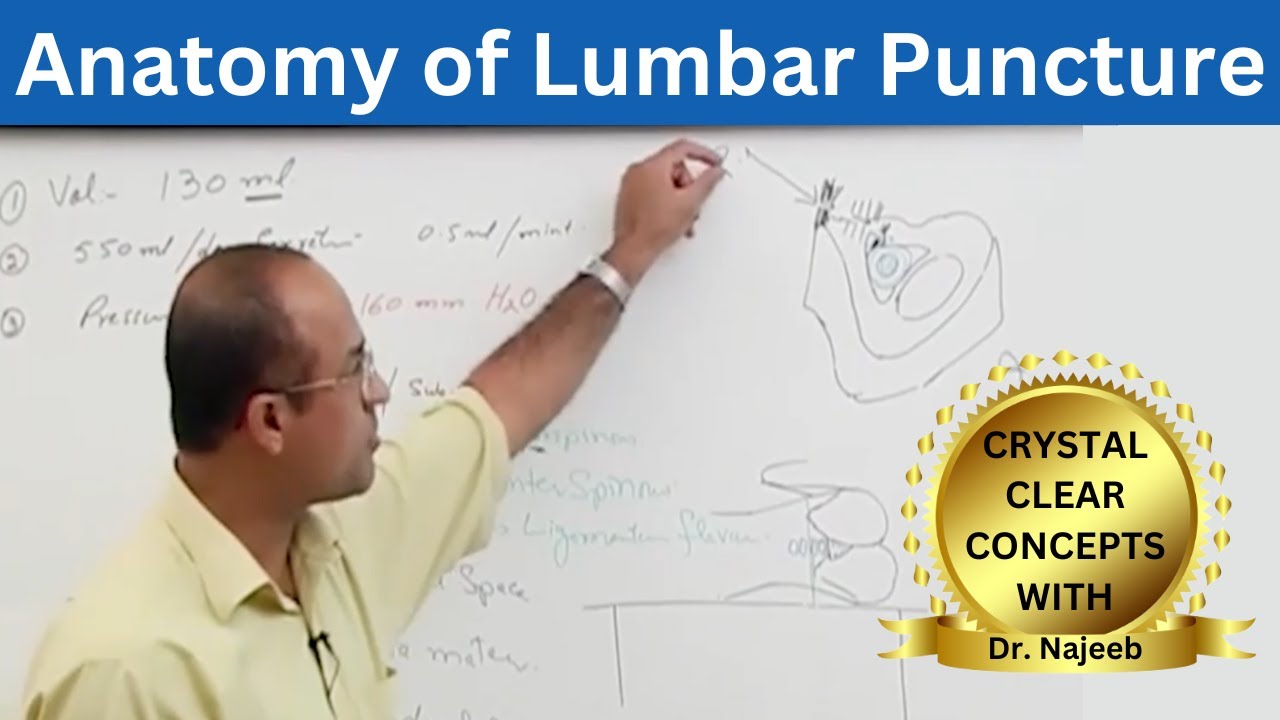 Lumbar Puncture | LP | Spinal Tap | Anatomy