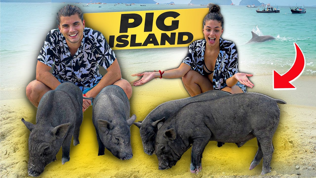 ABBIAMO VISITATO L’ISOLA DEI MAIALI 🐷🏝️