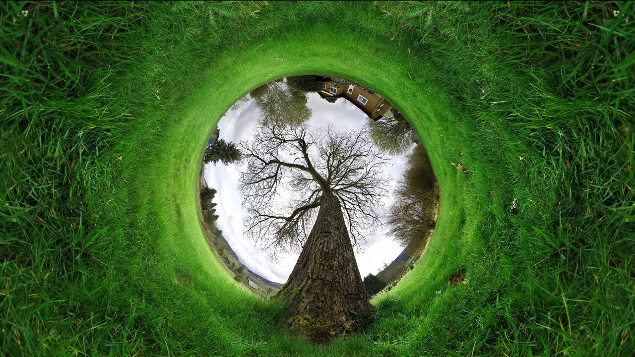 What If Reality Is Nothing But Perspective?