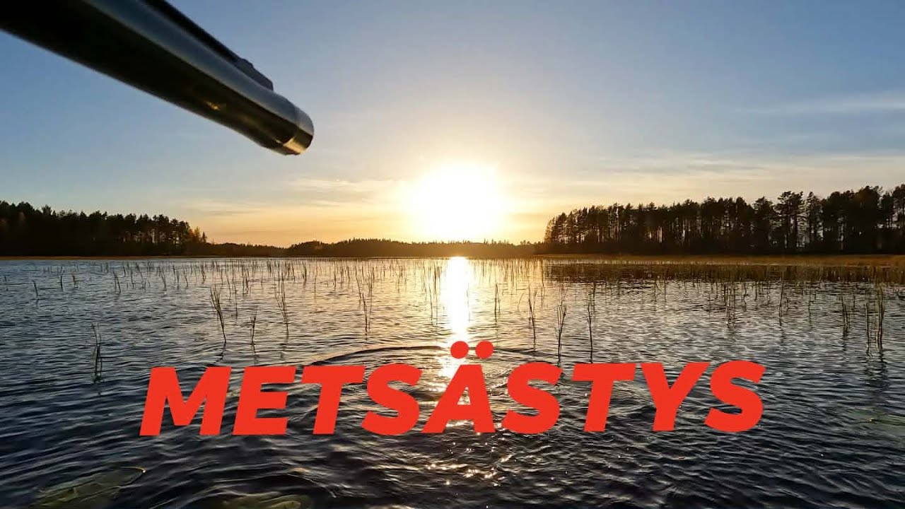 Metsästystä ja Parhaat Retkieväät Nuotiolla @KorpiTiimi