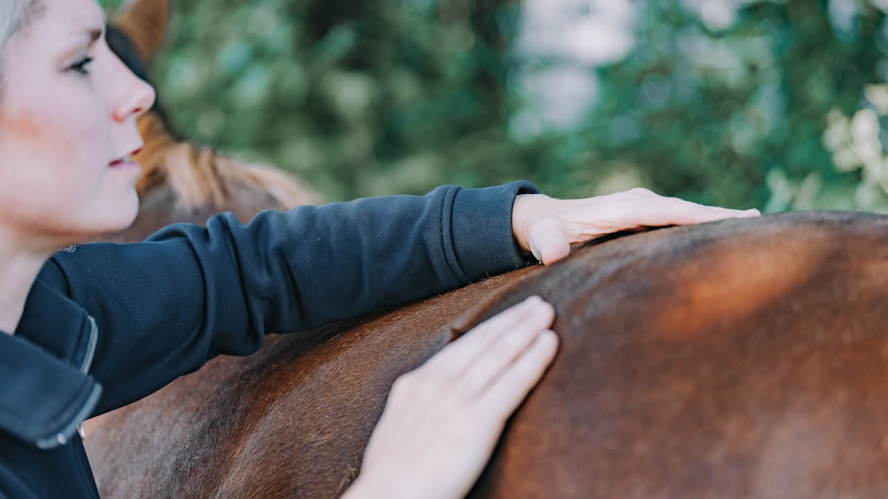 Massieren, dehnen, mobilisieren: Wie du deinem Pferd jeden Tag Gutes tun kannst | wehorse