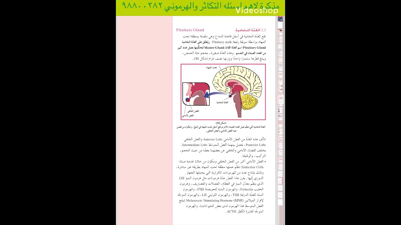 الجهاز الهرموني - الدرس الخامس - الغدة النخامية