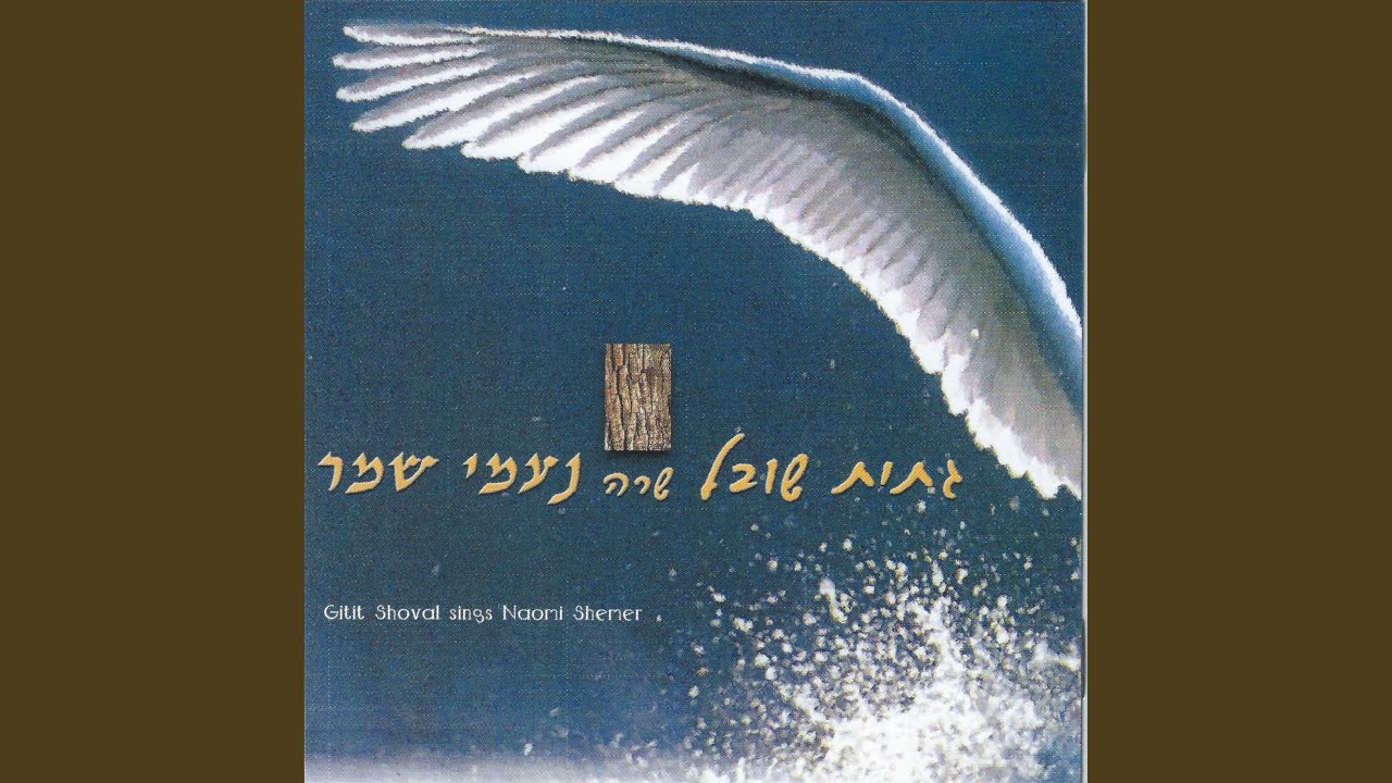 בארץ להד״ם