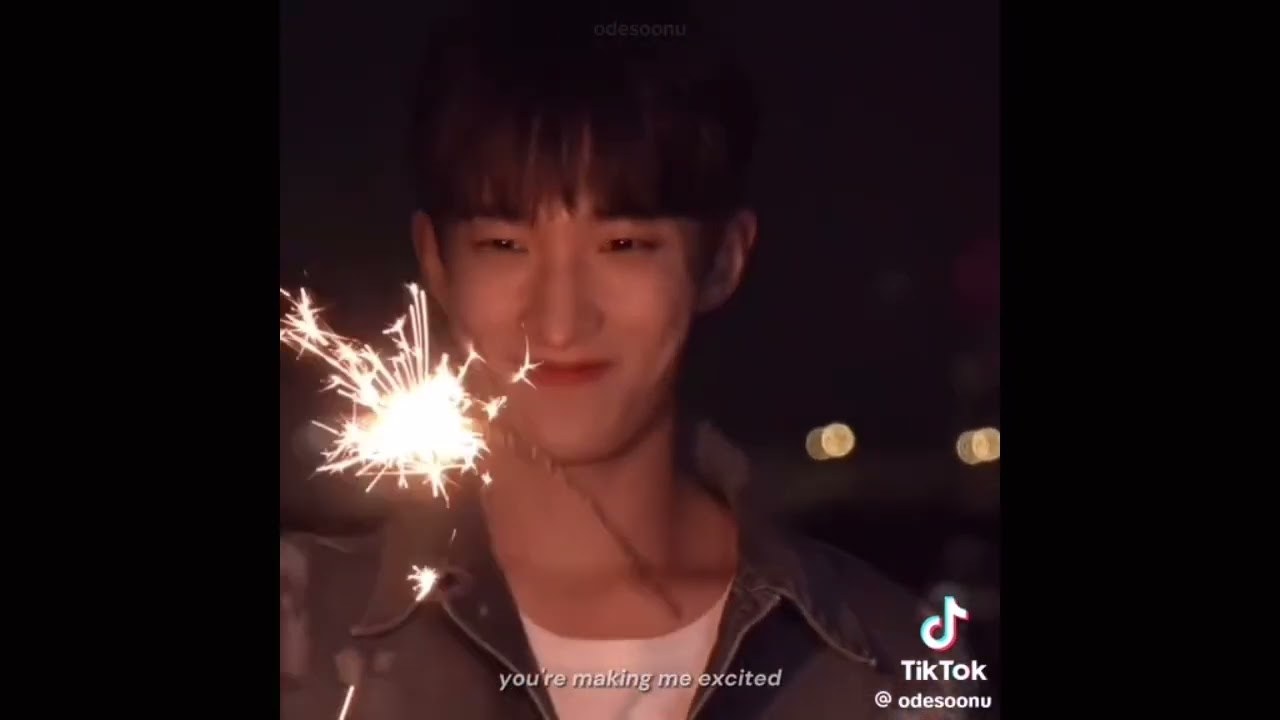 seventeen tiktok/videos to make your day better pt.104