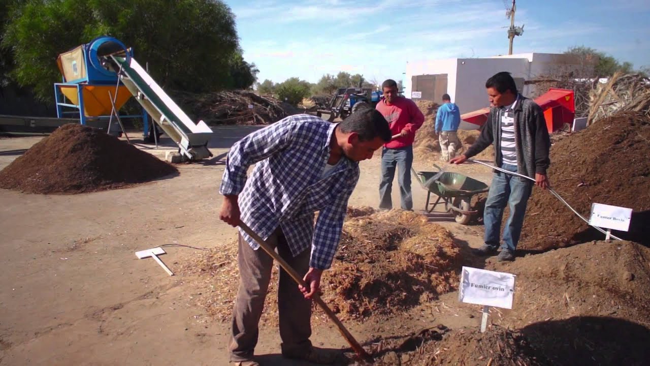 Documentaire composte Gafsa