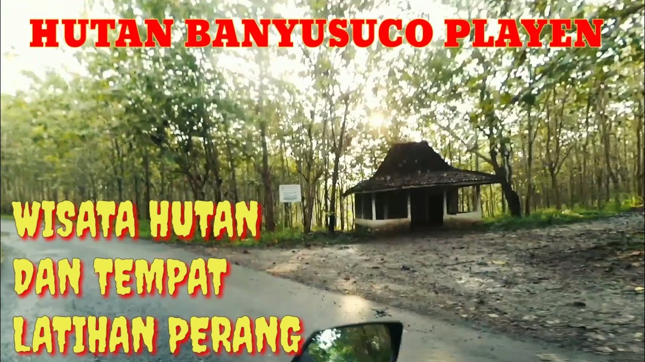 Wisata Hutan Banyusoco Playen Gunungkidul
