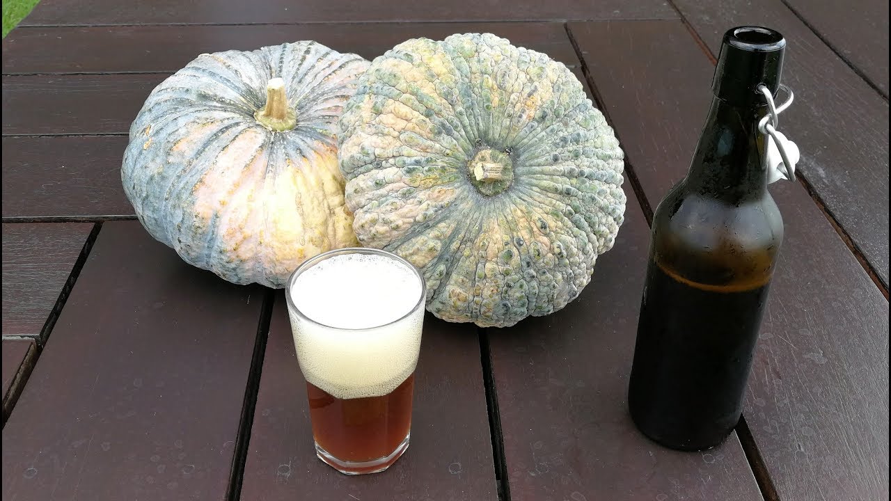 BIRRA alla ZUCCA fatta in casa