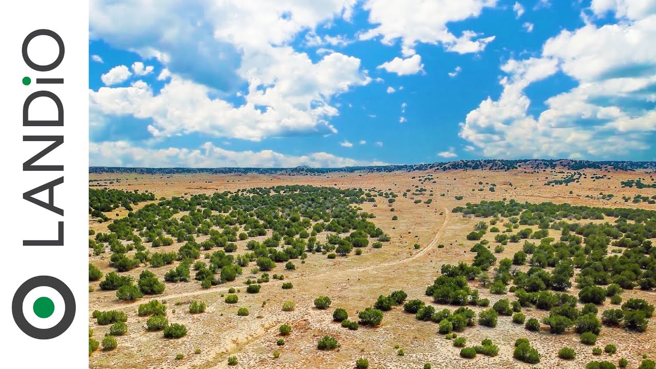 SOLD by LANDiO &bull; Colorado Land &bull;&nbsp;36 Acres with County Road Frontage