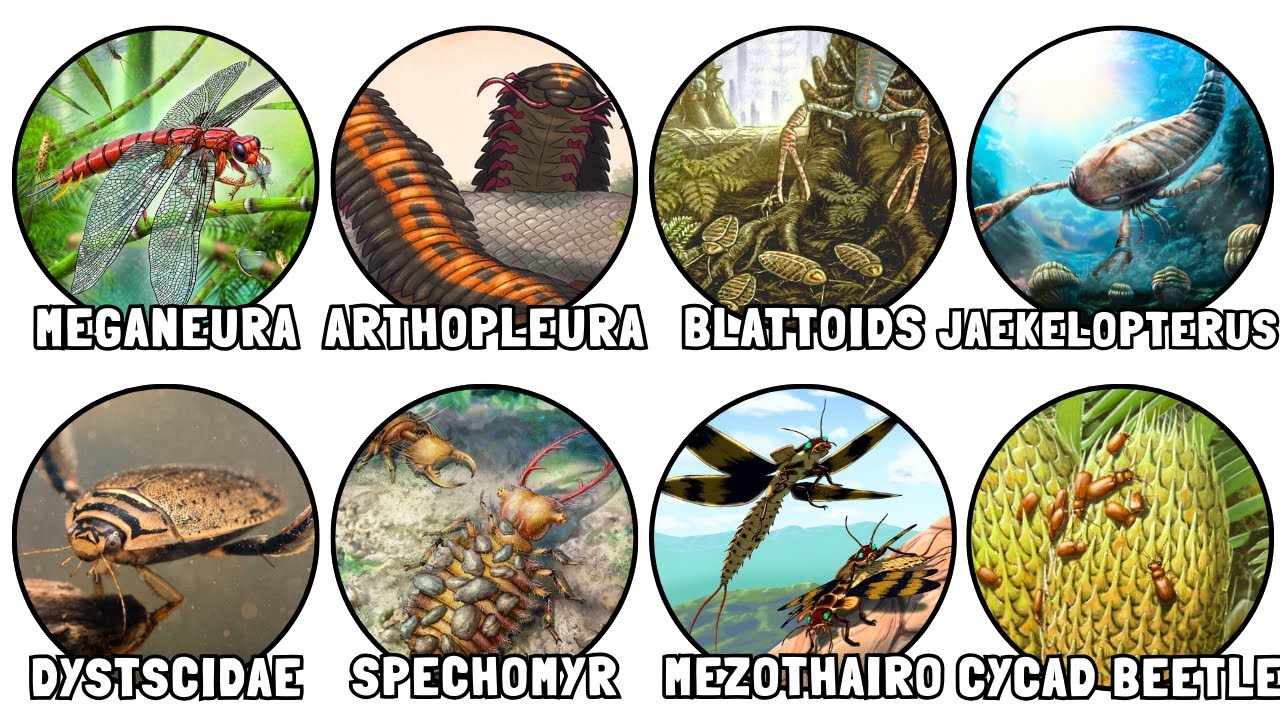 Every TERRIFYING Prehistoric Insect EXPLAINED in Detail