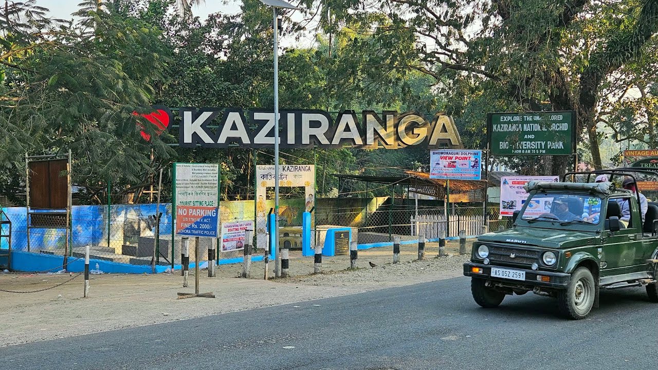 Kaziranga National Park, Nagaon Assam Full Journey in Safari Jeep Part: I🏞️🐘✨️ (UHD)