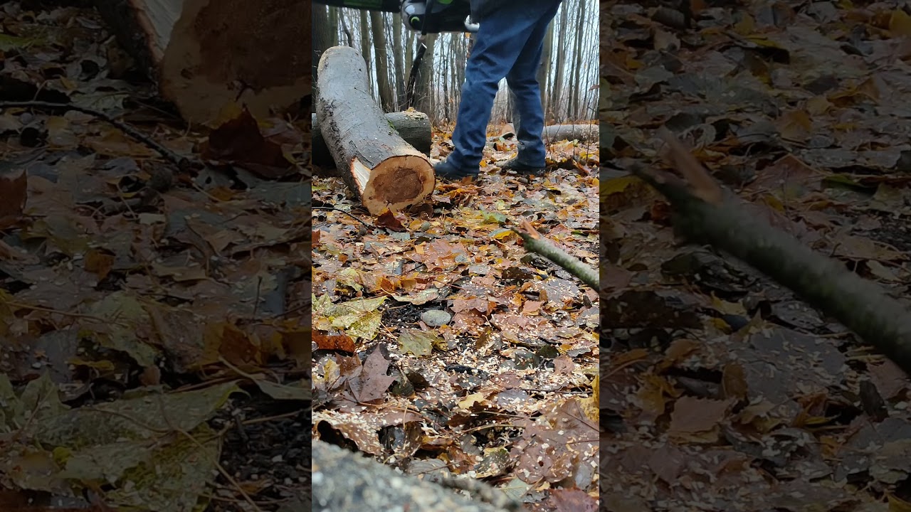 Аккумуляторная пила Greenworks GD82CS51 3.4 кВт 8Ah! Мощь! Прощай бензопила!Goodbye gas chainsaw!