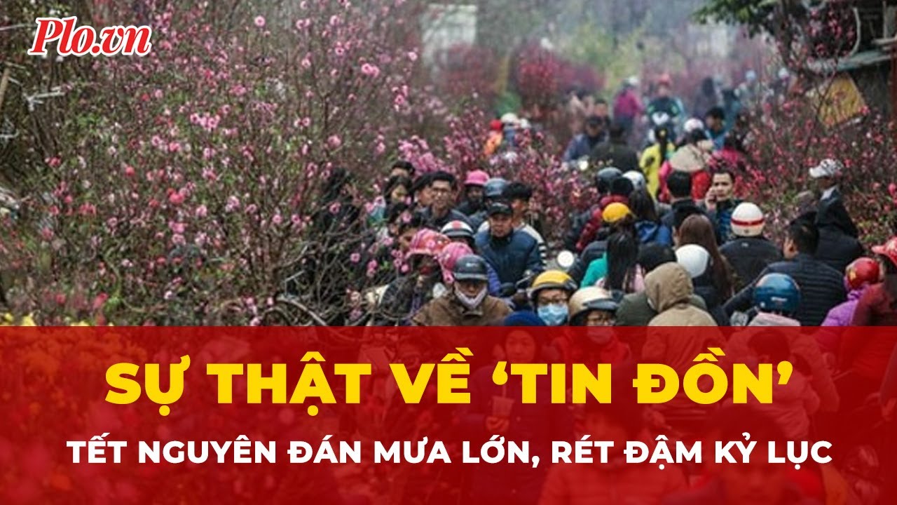 Sự thật về tin đồn Tết Nguyên đán mưa lớn, rét đậm kỷ lục tràn lan trên mạng | Tin nhanh