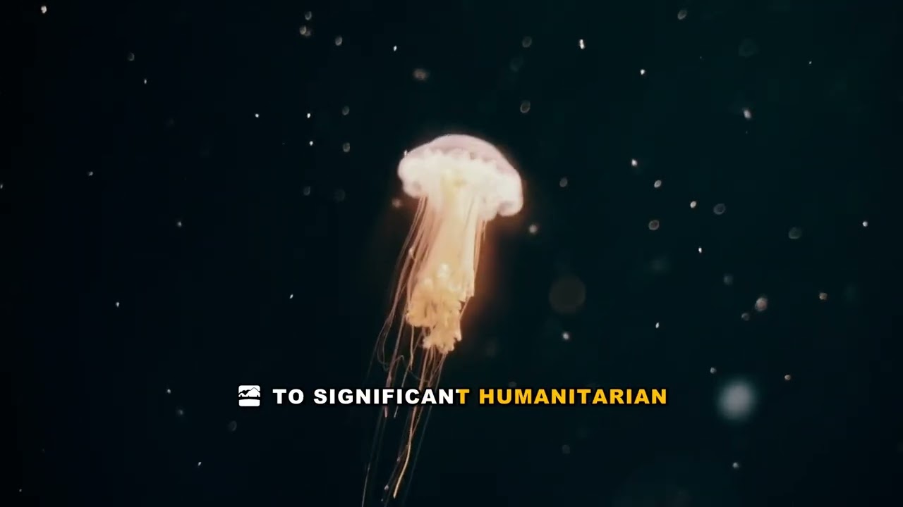 Exploring the Rutshuru Territory: A Gateway to Virunga National Park and a Hub of Conflict