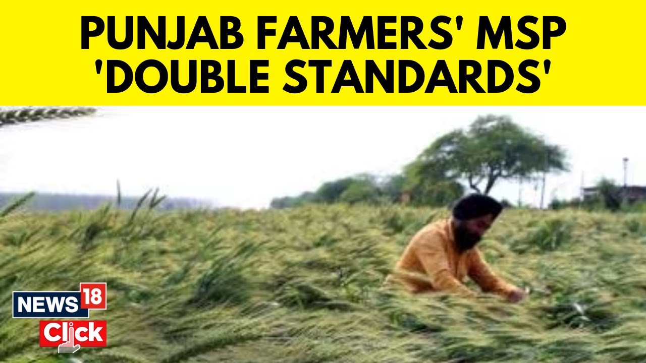 Reaping Benefits of Highest MSP And Procurement, Punjab Farmers Still Protesting | News18 | N18V