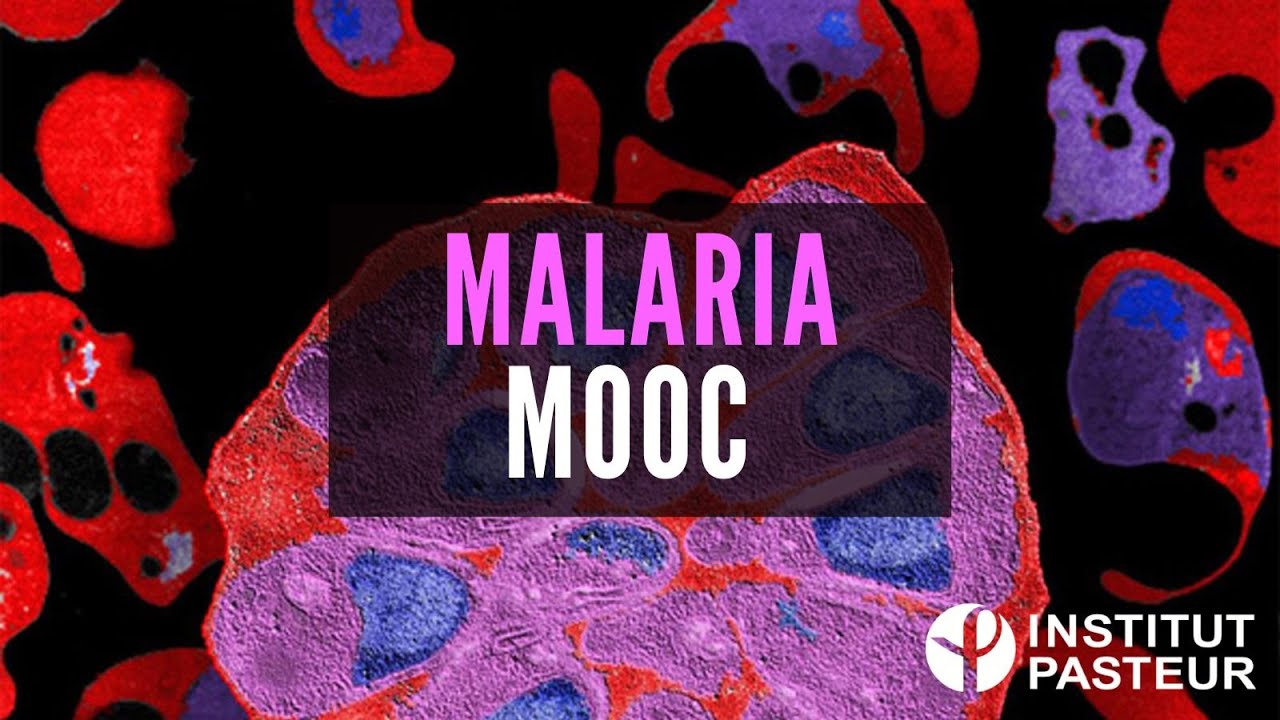 Malaria MOOC - Teaser