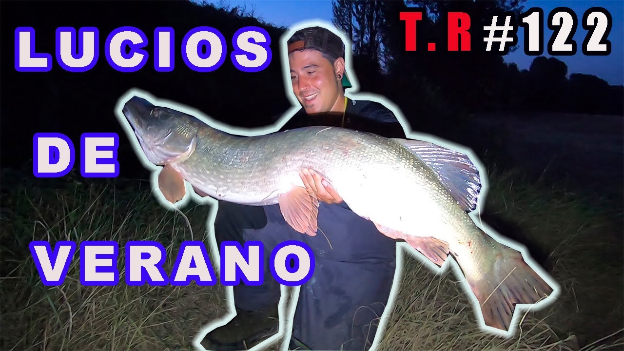 ⚠️LUCIOS DE VERANO🐊