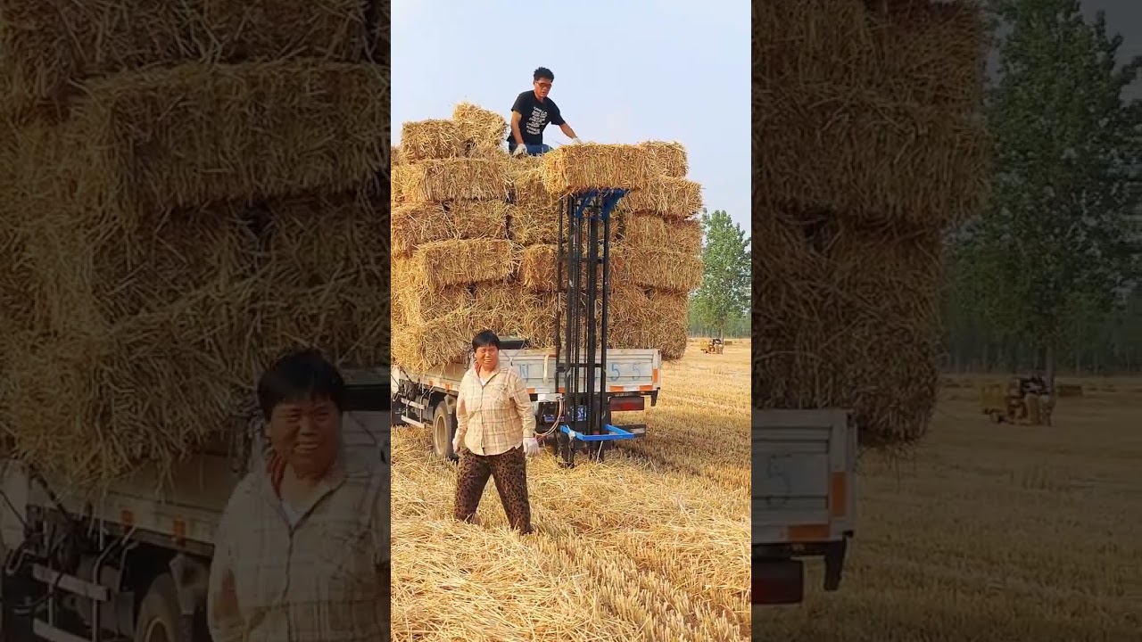 Stacking up the golden goodness! 🌾💪#HayBales #StrawBales #Agriculture #Farming #Harvest #RuralLife