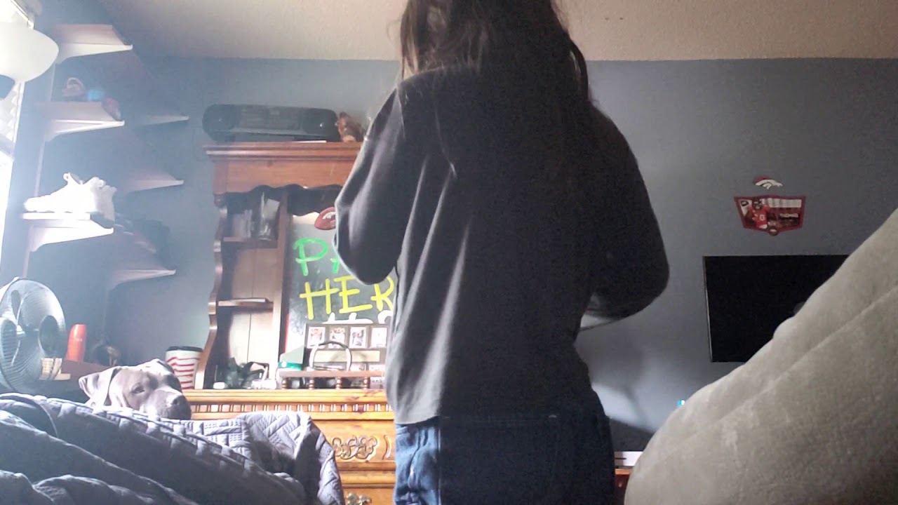 Try to see if your dog eats your beef jerky🐶