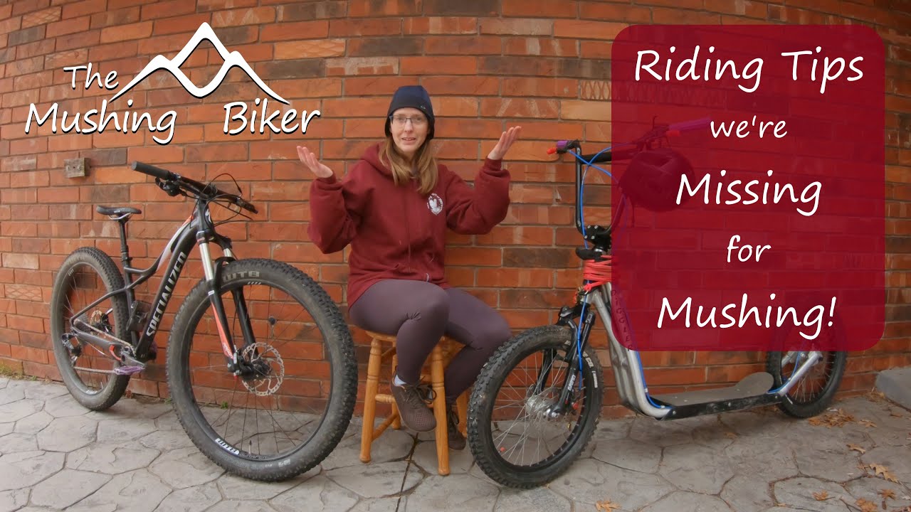 Riding & Equipment Tips We're Missing for Dryland Mushing! Bikejor/Scooter/Light Rig
