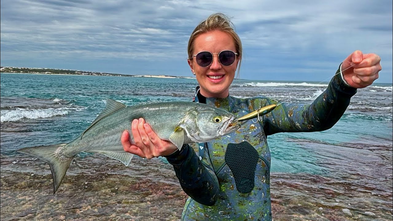 Tailor fishing at its best!
