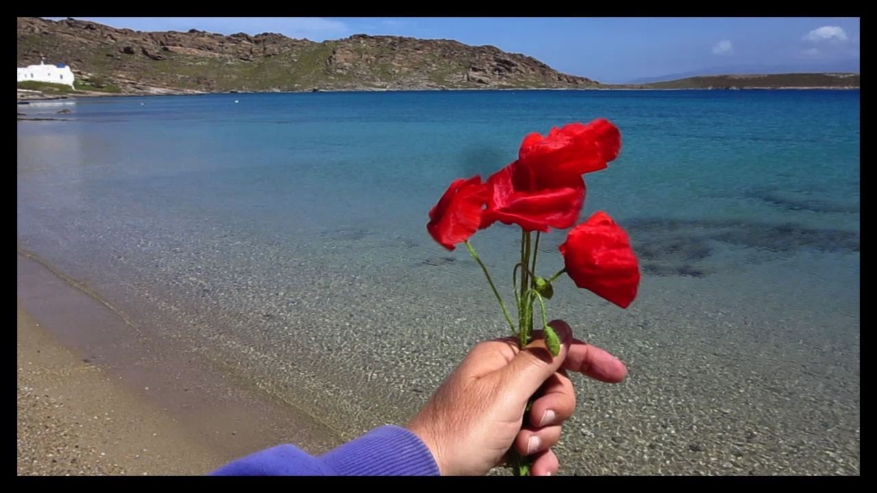 The Best Beach on Paros, Greece with Red Poppies