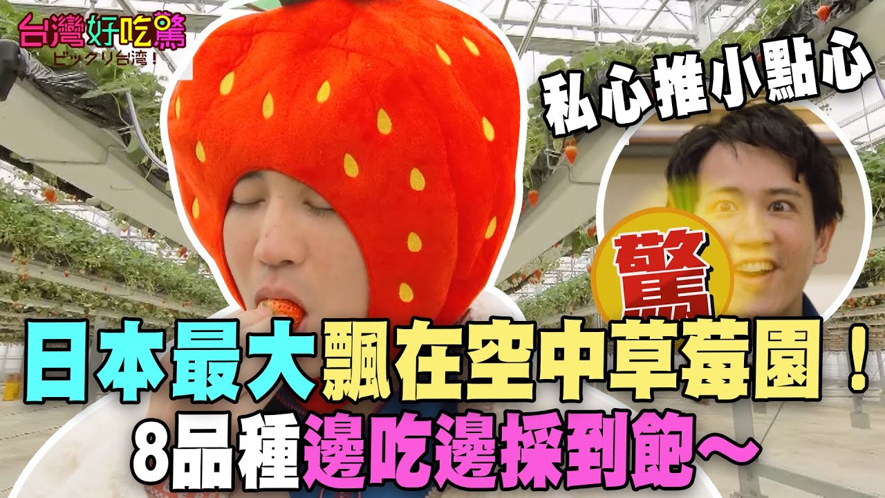 日本最大規模飄在空中草莓園！8品種邊吃邊採到飽～高志私心推必買伴手禮是它【台灣好吃驚】