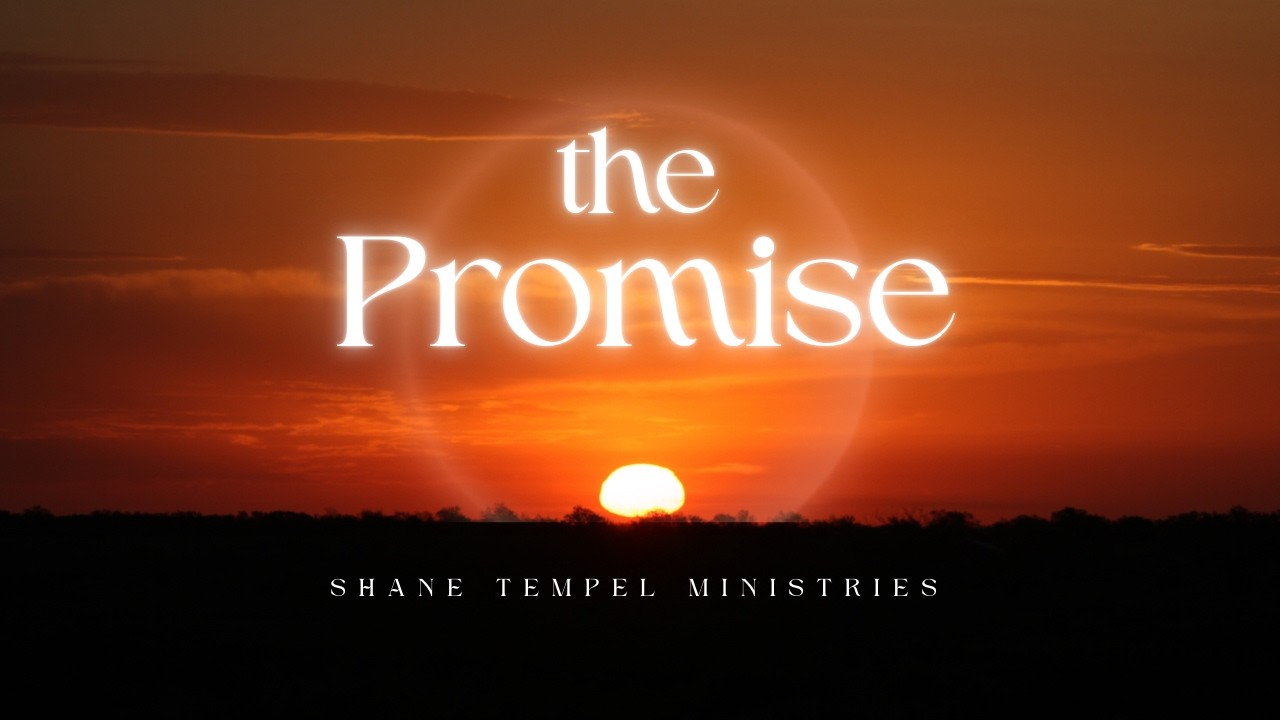 The Promise