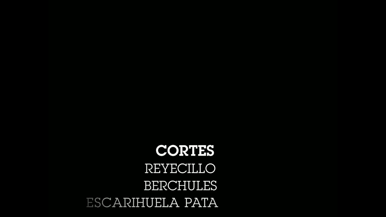 Los últimos pasos del postrero Rey de Al-Andalus. Berchules