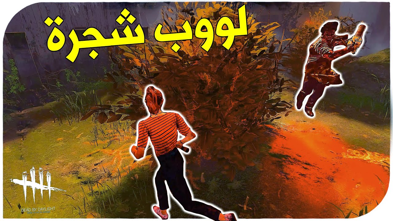 ديد باي داي لايت |  Dead by Daylight |  Looping |  الشجرة دواء بوبا🤣
