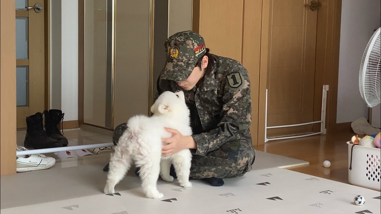 Щенок приветствует меня после того, как я пошел на армейскую подготовку в резерве