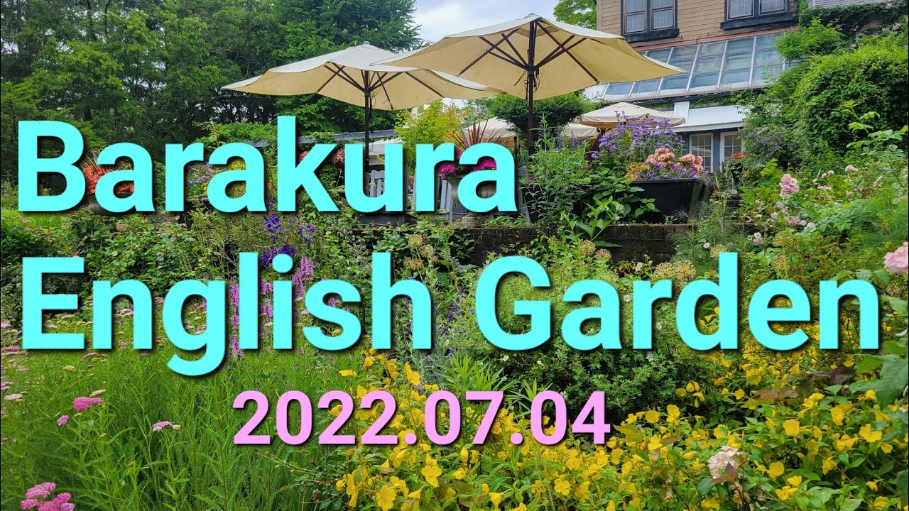 蓼科バラクライングリッシュガーデン　プライベートガーデン堪能、オールドローズが見頃でした　2022.07.04撮影　NO.73