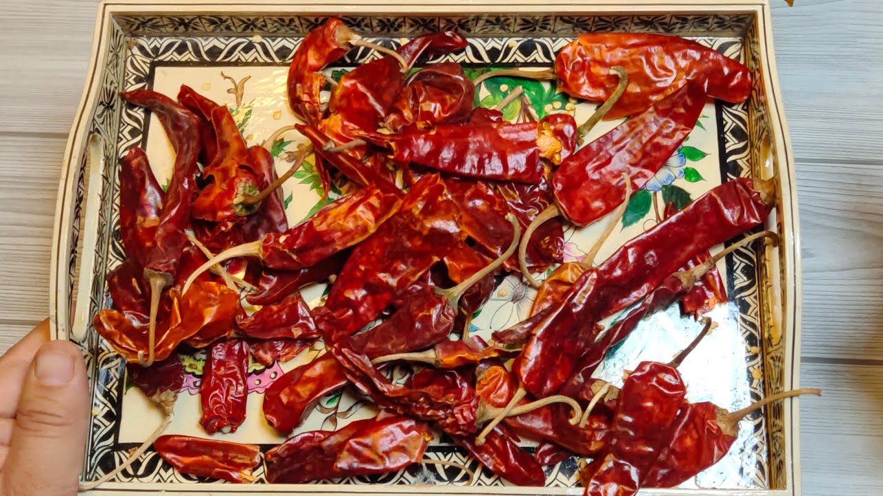 wazwaan Mirchi Korma in Kashmiri language