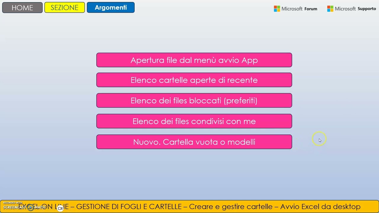 Collocamento file Excel e cronologia versioni