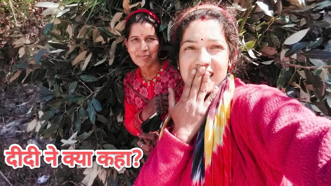 Dusra din jungle ka kaisa rha or didi ki bate