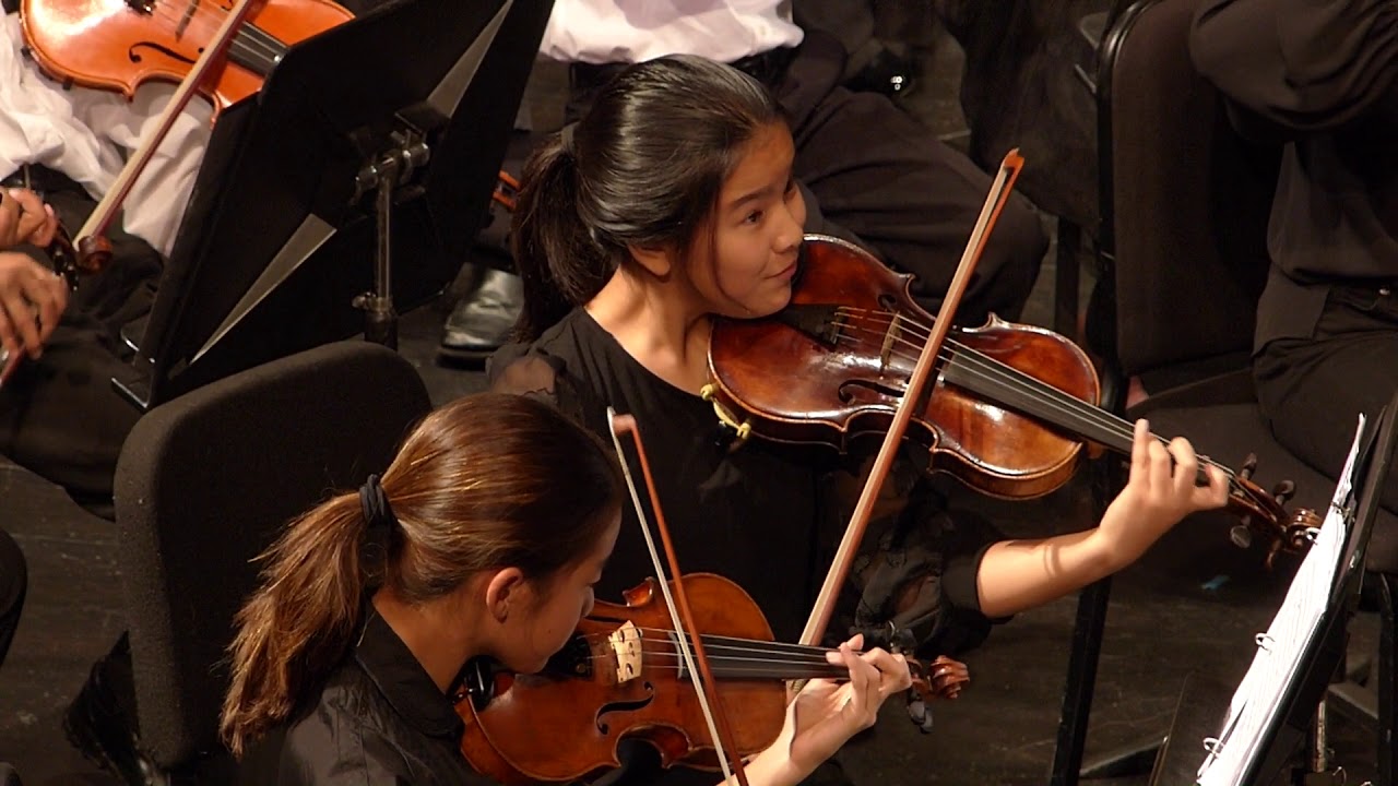 Mozart Symphony no. 25 mvt 3