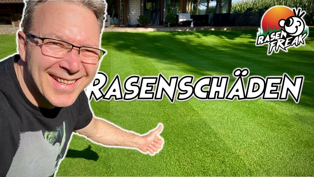 STATUS Rasenfläche - SCHÄDEN durch tiefes MÄHEN - pH-Wert im Keller - kalken, aerifizieren, düngen