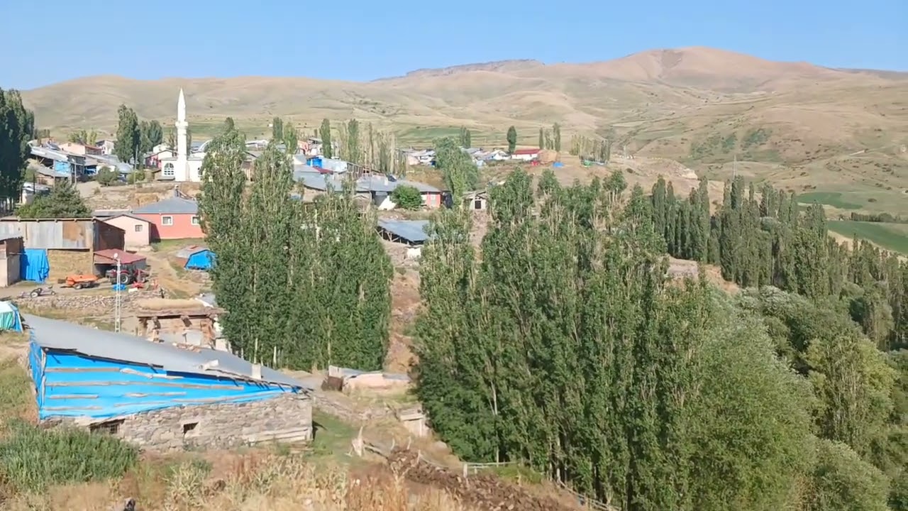 Narman Güvenlik Gornes ağaların daş