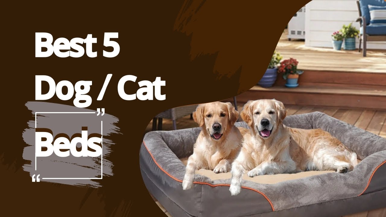 Top 5 Best Dog Beds 2025 for Small to Large Dogs